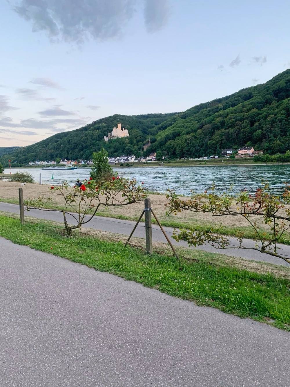 Blick auf Stolzenfels – Schlenderweinprobe Niederlahnstein