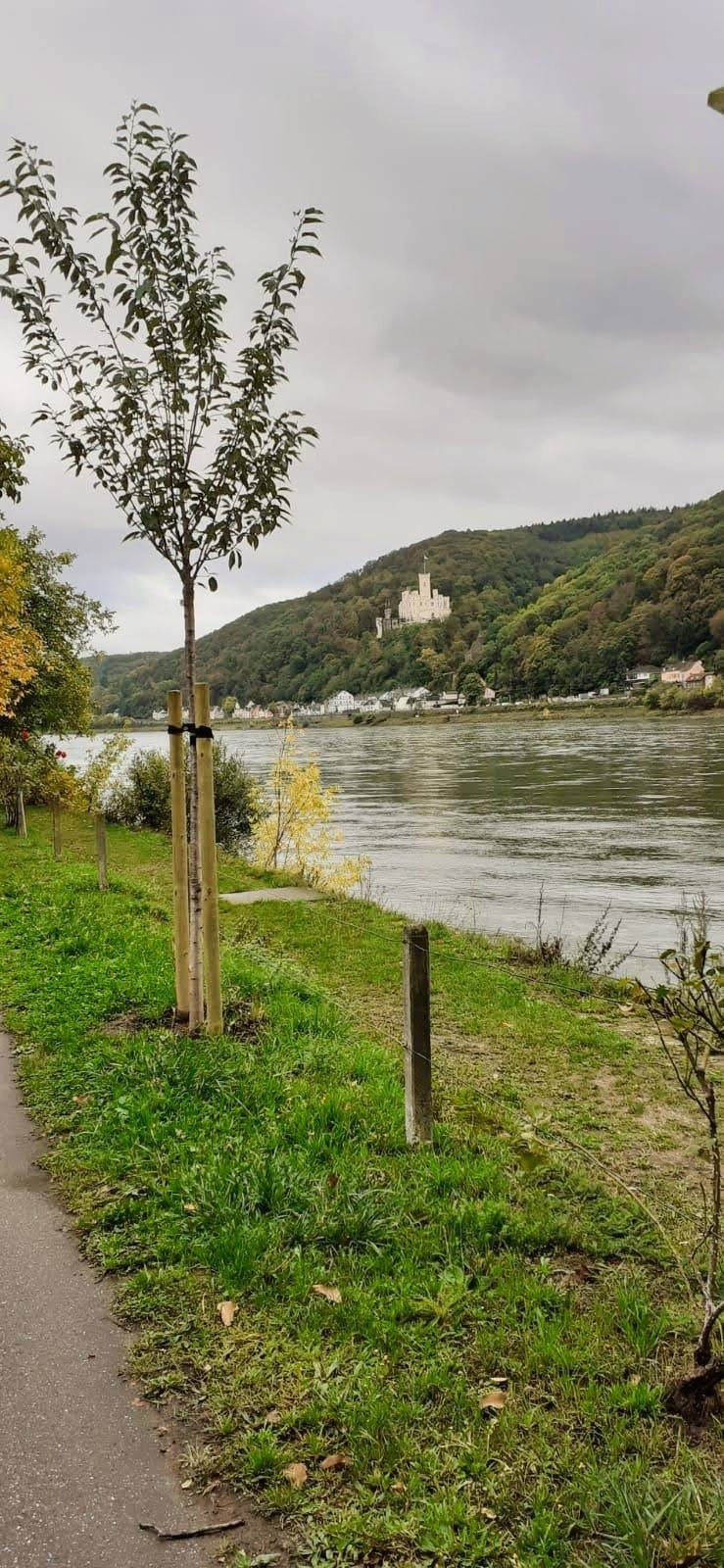 Blick auf Stolzenfels – Schlenderweinprobe Niederlahnstein