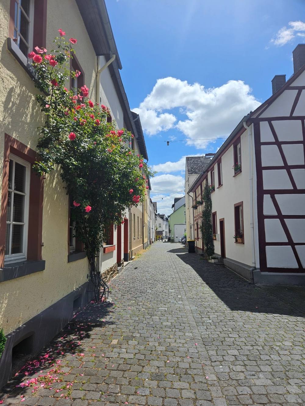 Mauergasse Lahnstein